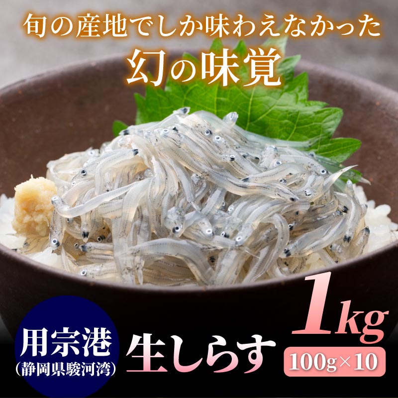 用宗港 静岡県駿河湾 鮮度が命の生しらす 1kg 100g 10 大五うなぎ工房本店