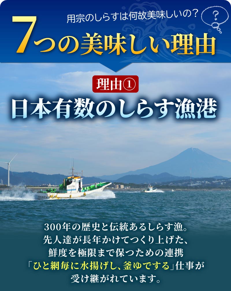 用宗港 静岡県駿河湾 釜揚げしらす 特a品質 無添加 無漂白 1kg業務用ブロック 大五うなぎ工房本店